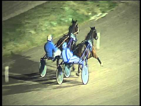 Trotto 21/01/2016 - 2° prova di qualifica