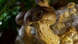 deadmau5 - unjaded (ov)