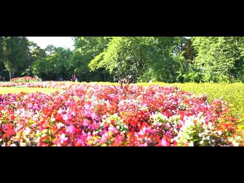 HOMIE FT DEZZ - PERSEVERÁ