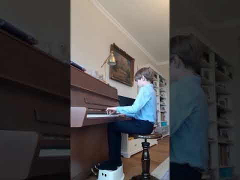 Fodor Benjamin videója