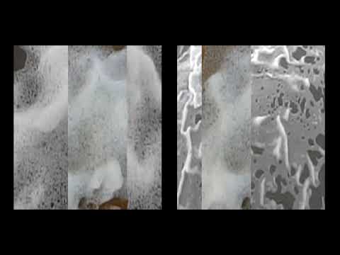 download lagu mp3 mp4 Morton Feldman Trio, download mp3 Morton Feldman Trio free downloadn, video klip Morton Feldman Trio