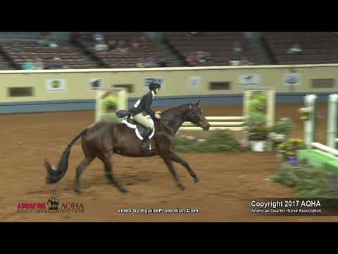 A Judge's Perspective: 2017 AQHA World Senior Working Hunter World Champion