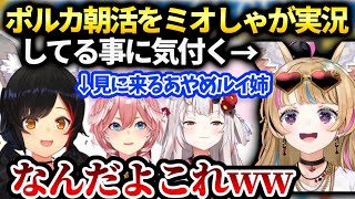 ミオしゃポルカのおはポルを同時視聴してたらあやめやルイ姉も集まりカオスに…【大神ミオ/ホロライブ】