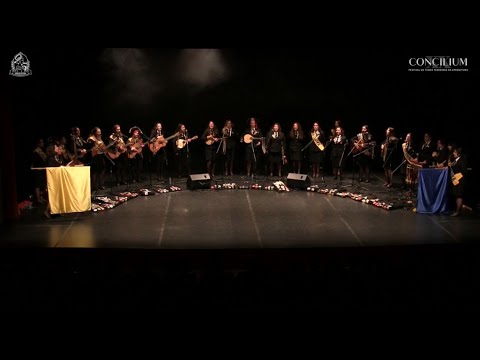 XX Concilium (Noite de Espetáculo) - TFIPCA