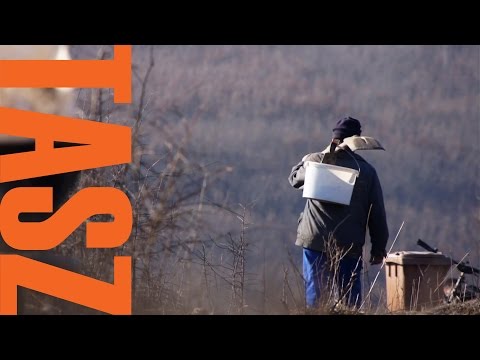 ESÉLYTELENÜL - A TASZ Romaprogramjának tapasztalatai - Without a Chance