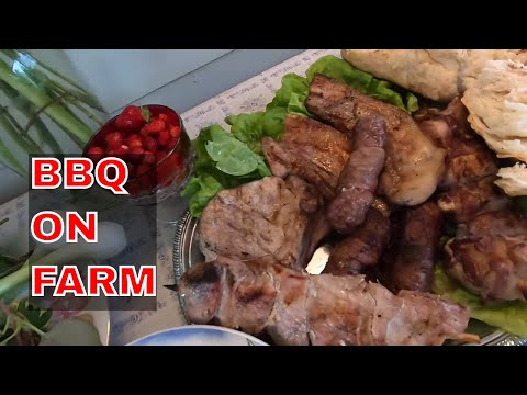 BARBECUE ON THE FARM / ROSTILJ NA PLACU BARAJEVO