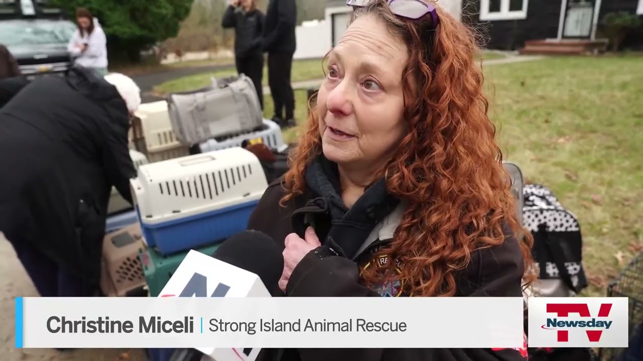 Founder, 'numerous' cats killed in fire at home of Happy Cat Sanctuary in Medford, officials say