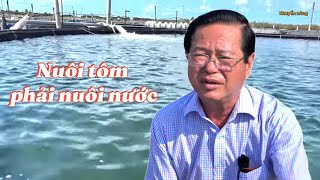 Nuôi tôm tuần hoàn nước an toàn sinh học