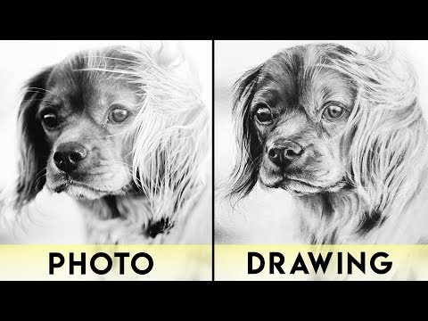 How to Draw Animals with Charcoal | REALISTIC DRAWING...