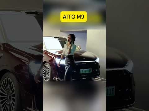 Thumbnail for China’s Answer to Tesla Model X? by SUV