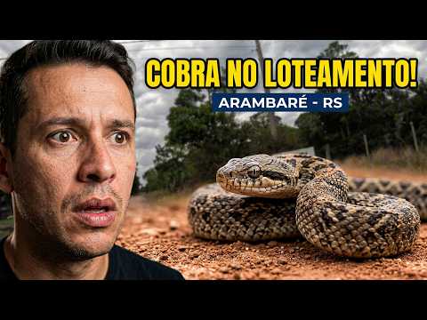 LOTEAMENTO CANELEIRA EM ARAMBARÉ RS E ENCONTRAMOS UMA COBRA 🐍 