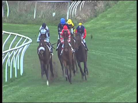 Galoppo 23/02/2016 - 4° corsa