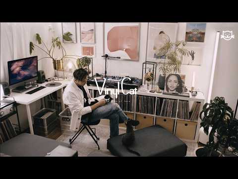 DJ KRO  "Vinyl Cat "  | 80s , 90s Mellow & Jazzy Hop Hop ,R&B set pt.2  | #hiphop #rnb #chill