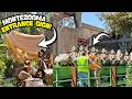 MonteZOOMa Launching End Of July Scary Farm Progress Knott S Berry Farm 2026