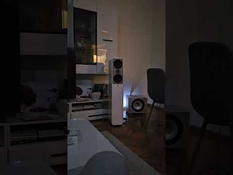 q acoustics concept 50 / stereo pair Rel subwoofer T9x / Yamaha R-N803d #subwoofer #audiophile