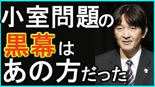 【最新情報】小室圭問題の「黒幕」は〇〇だったことに驚きを隠しきれない