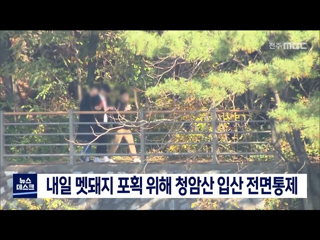 군산 청암산 멧돼지 포획위해 하루 전면통제