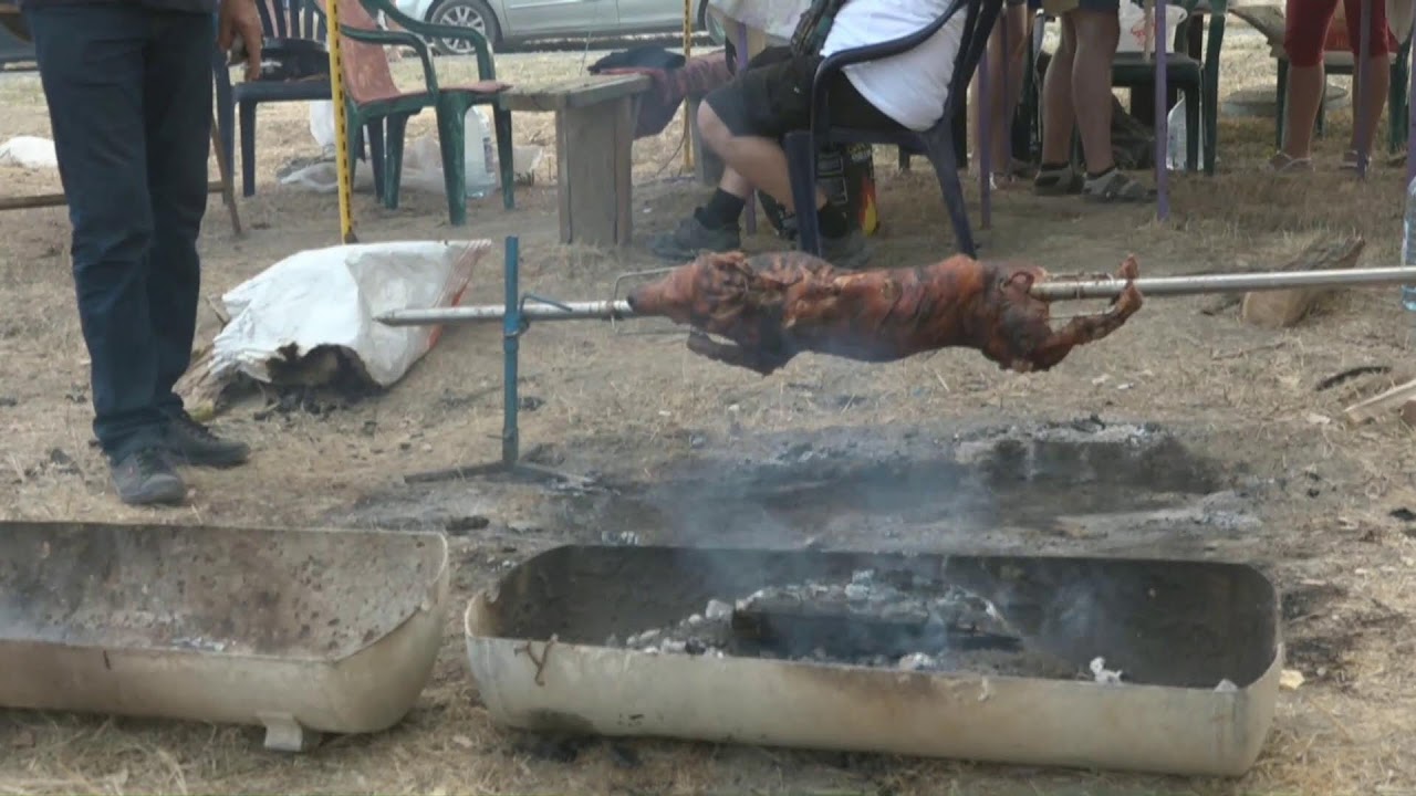 Miletic koji volim -GUDIJADA 2022