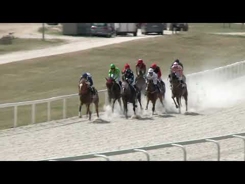 2022.06.26. 02. futam - BOGÁRZÓI HENDIKEP (V.o.) (szintetikus pálya)