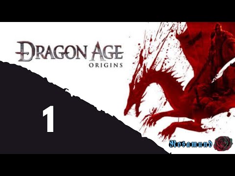 Dragon Age: Origins (1) Mage origin story is so Long.