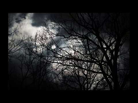 Thromos : Visionen der Dunkelheit