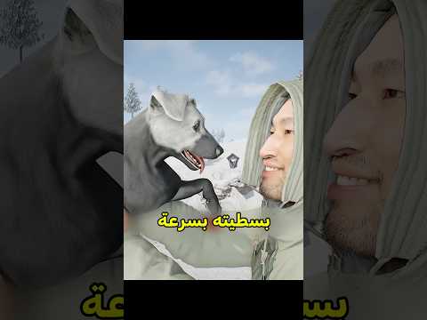 الكلب هو البطل الحقيقي 😍 #shortvideo