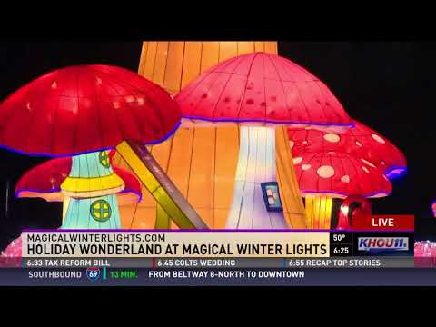 Holiday Wonderland at Magical Winter Lights
