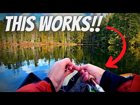 Top (3) Retrieves That Will Catch MORE FISH - Fly Fishing for Trout