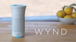 Wynd Plus: Smart Personal Air Purifier with Air Quality Sensor