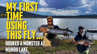 My First Time Using This Fly… and It Hooked a MONSTER at Mundo Lake! #rainbowtrout #flyfishing
