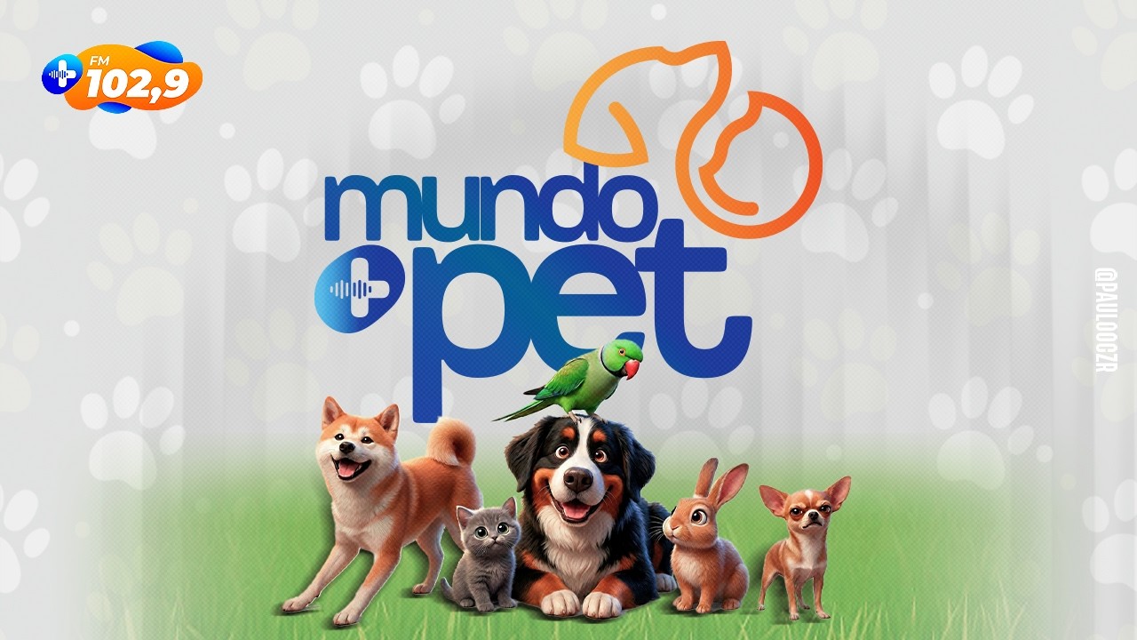 MUNDO MAIS PET | A SAÚDE DOS OLHOS DOS PETS: O QUE TODO TUTOR PRECISA SABER?