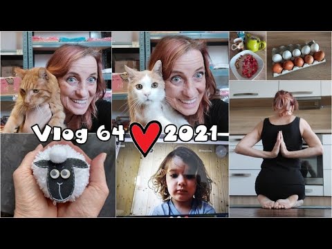 Vlog 64/21 - kocouří