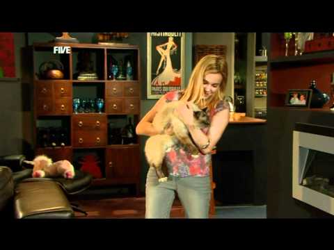 Valentina Novakovic Neighbours 15-07-10