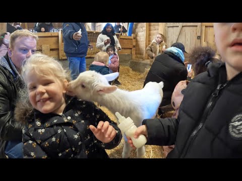 a day out at the traditional Dutch goat farm ,t Geertje and a visit to a old Dutch swampforest