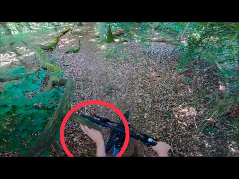 I Almost Lost My Arm While Mountain Biking | Daily Vlog #23