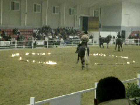 Feria (EQUIMUR) 21-03-2009