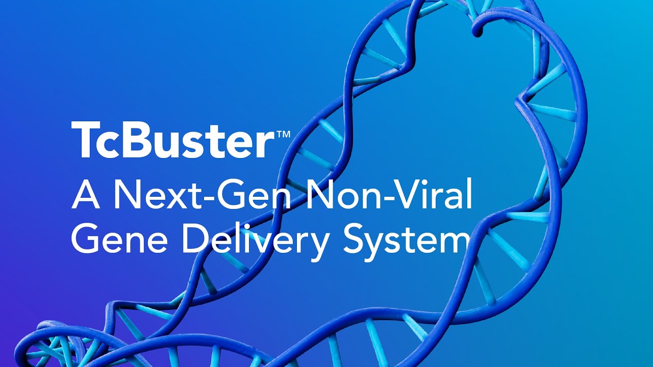 TcBuster(TM) - A next-generation non-viral gene delivery system