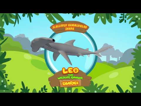 Witness21 Editor  2018 09 26