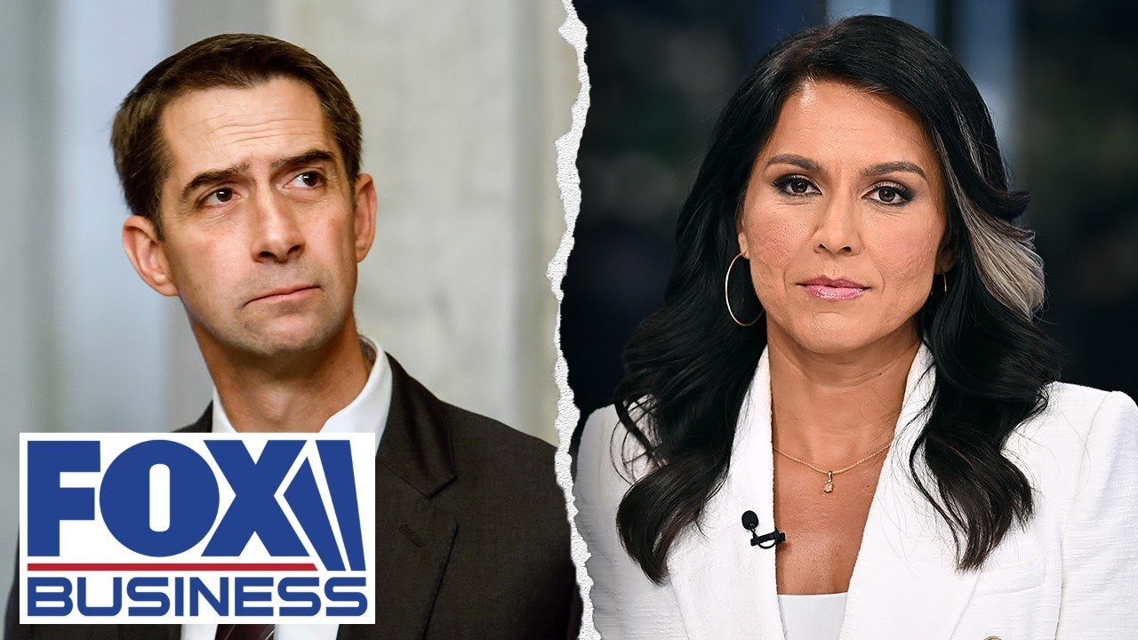Sen. Tom Cotton outraged over Democrats' shocking claims on Tulsi Gabbard