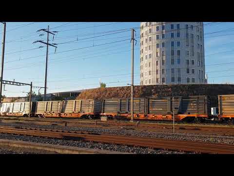 EDG- Rübenzug in Pratteln