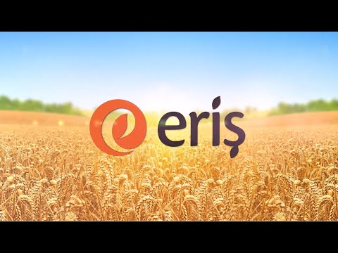 ERIS FOOD PRESENTATION
