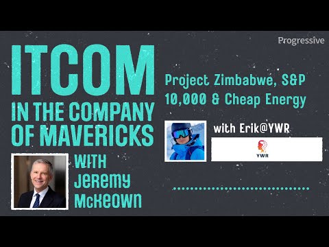 In the Company of Mavericks - Project Zimbabwe, S&P 10,000 & Cheap Energy with Erik@YWR