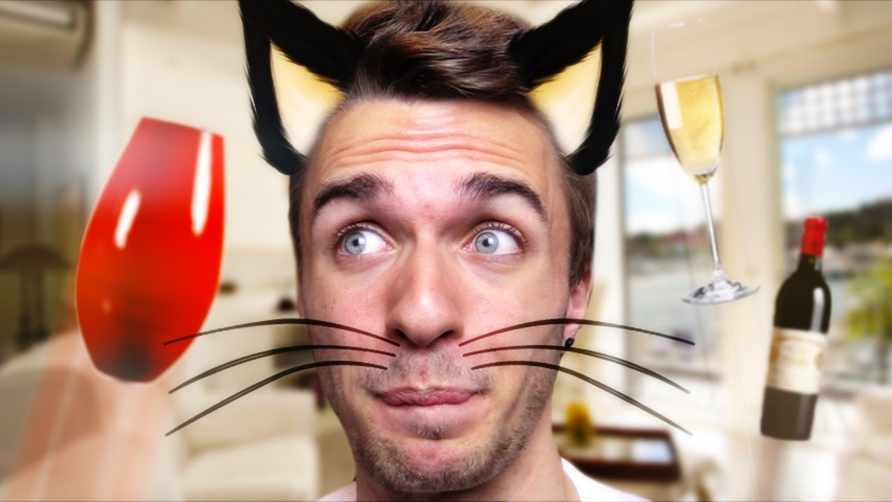 ÇA FAIT QUOI D’ÊTRE UN CHAT ? - Purrkour thumbnail