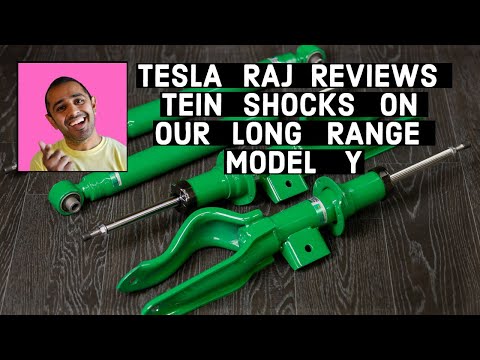Model Y Tein EnduraPro Plus review from Rish and Raj