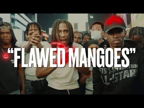 [FREE] Kay Flock x Kyle Richh x NY Drill Sample Type Beat - "Flawed Mangoes"