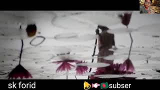 বিজয় ফুল