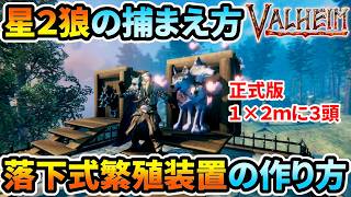 【Valheim】正式版 星2狼の捕まえ方と落下式繁殖装置の作り方【ヴァルヘイム】