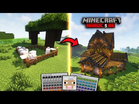 MIGLIORIAMO LA NOSTRA TRISTE FATTORIA DI PECORE EP 5 (FATTORIA DI LANA)