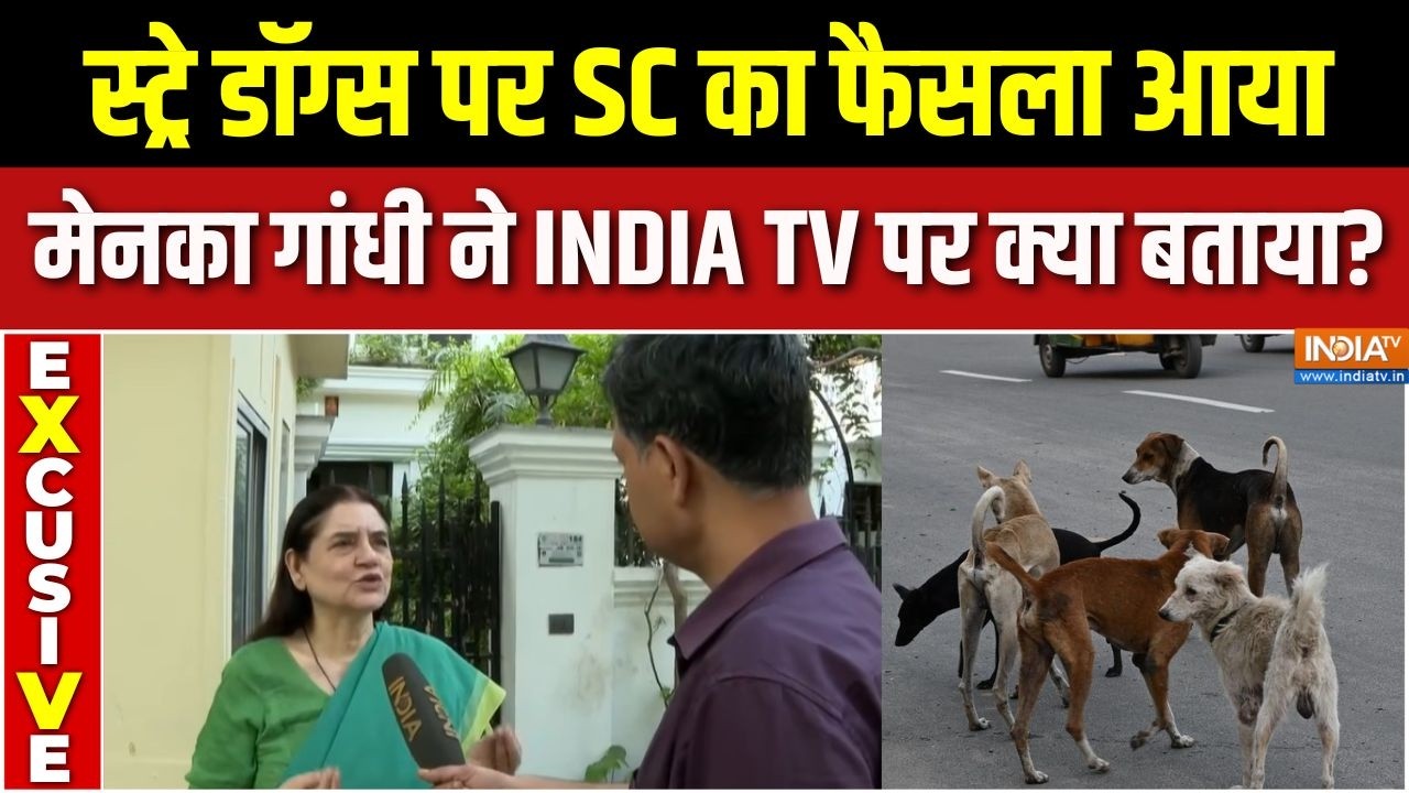 Maneka Gandhi EXCLUSIVE : स्ट्रे डॉग्स पर Supreme Court का फैसला आया. मेनका गा?