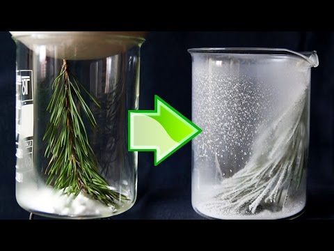 Slimming pamamagitan ng beet kepe at mineral na tubig Recipe para sa pagbaba ng timbang na may mga larawan at mga calorie pagkain